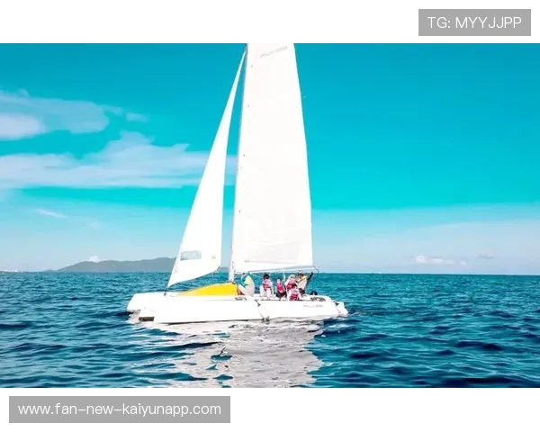 帆船装备升级：智能帆具的技术革命，帆船控制